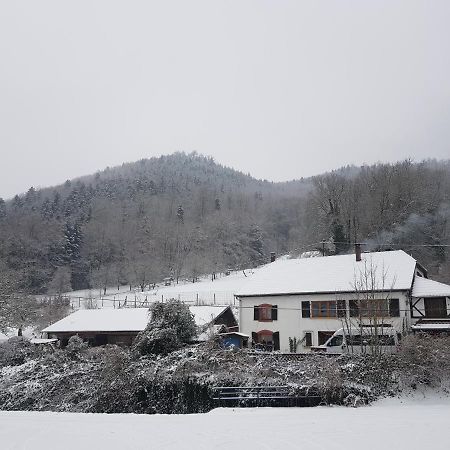 Gite Le Creux Chene Rombach-le-Franc Экстерьер фото
