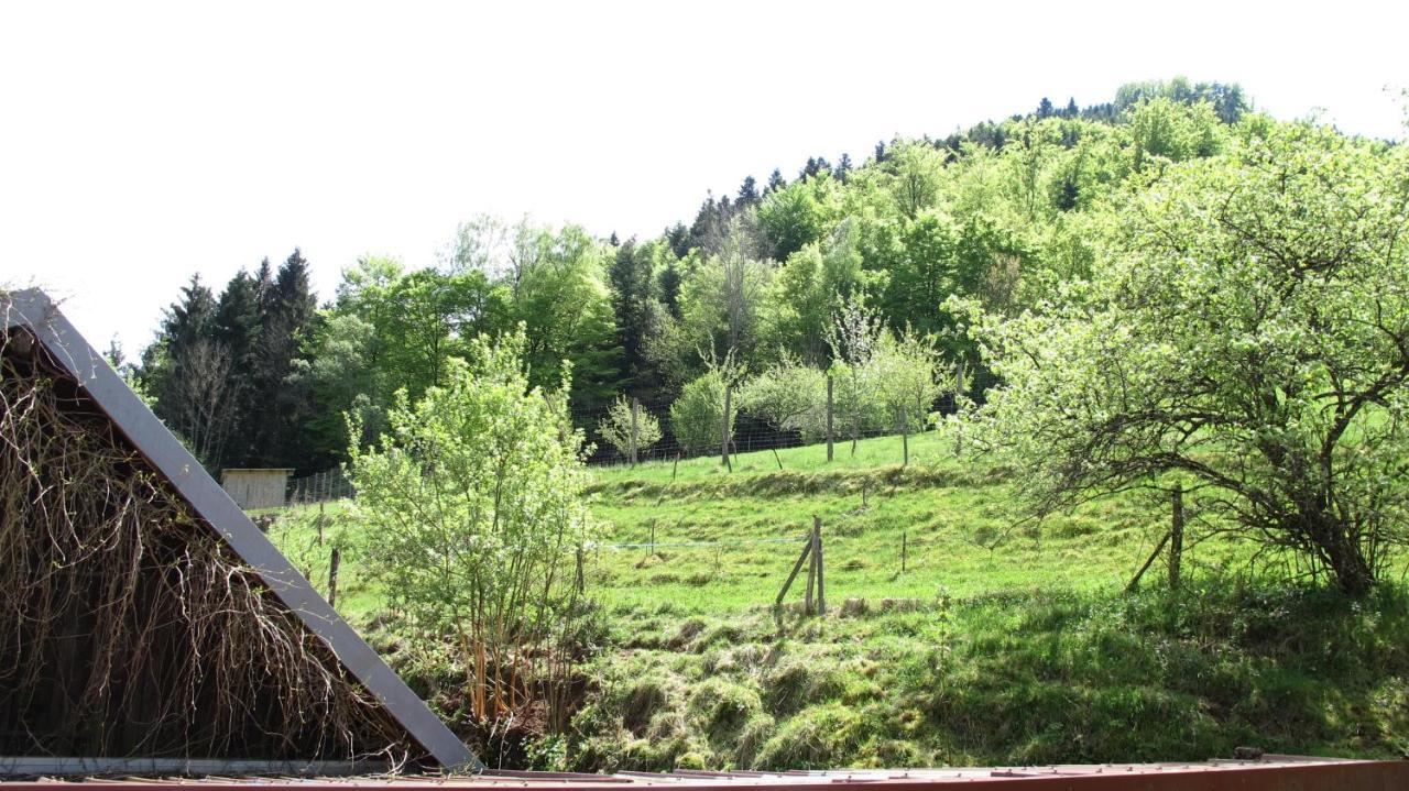 Gite Le Creux Chene Rombach-le-Franc Экстерьер фото