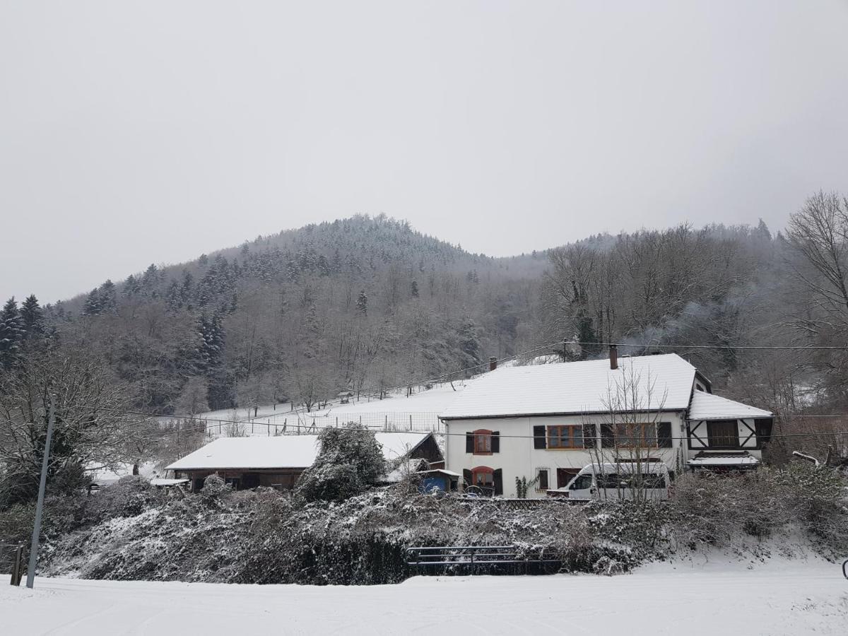 Gite Le Creux Chene Rombach-le-Franc Экстерьер фото